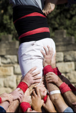 Diades castelleres (T2024): Diada Castellera de santa Teresa al Vendrell