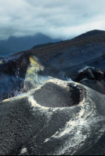 Imagen de Islas Canarias: Nacidas del Fuego - 6