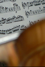 Imagen de Barenboim Beethoven Piano Concerto No.1 - 4