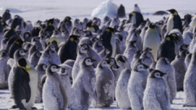 Imagen de Planeta hostil: Polos - 7