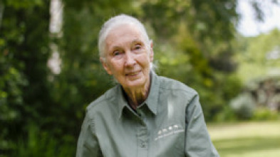 Jane Goodall: la...: Ep.4