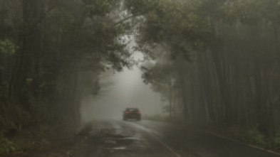Imagen de En la mente del asesino en serie - 5