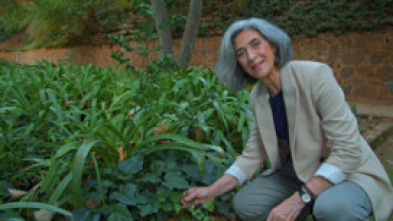 Imagen de Jardines con historia  - 14