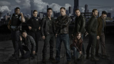 Imagen de Chicago P.D. (T1): Ep.9 Testigo presencial - 5
