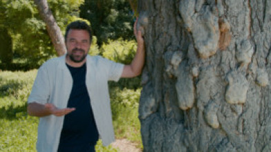 Imagen de Jardines con historia  - 14