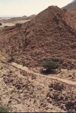 Emiratos Árabes desde el aire