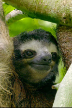 Imagen de Hotspots: Madagascar - 9