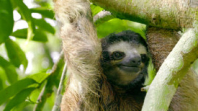 Imagen de Hotspots: Amèrica del Centre - 10