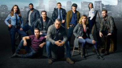 Imagen de Chicago P.D. (T3): Ep.3 Violencia física de verdad - 5