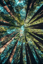 Parcs de llegenda (T1): Parc natural i reseva de la biosfera del Montseny