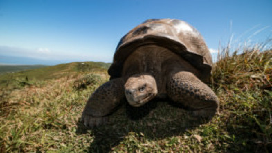 Galápagos: esperanza...: Paraíso escondido