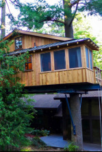 Imagen de Mi casa en un árbol (T7): Sauna en los árboles en Alaska - 6