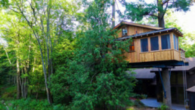 Imagen de Mi casa en un árbol (T7): Sauna en los árboles en Alaska - 7