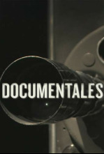 Imagen de Tras el desastre: Accidentes - 5