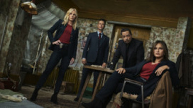 Imagen de Ley y orden:... (T21): Ep.6 Asesinadas en una mala dirección - 7