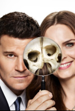 Bones (T8): Ep.9 El fantasma en la máquina