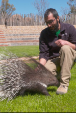 Imagen de Animalades, un món bestial - 4