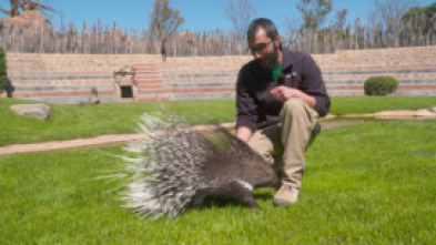 Imagen de Animalades, un món bestial - 5