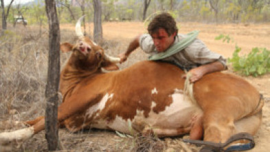 Un vaquero australiano: Acampando con cocodrilos