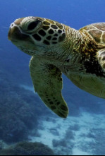 Imagen de Islas Secretas de...: Isla Lady Elliot - 4