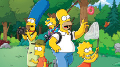 Imagen de Los Simpson (T29): Ep.18 Perdonar y lamentar - 5