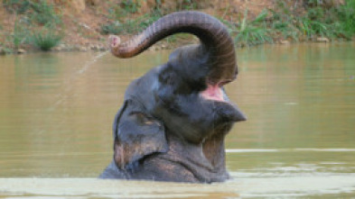 Imagen de Los Misterios del...: Tailandia: La Cuenca del Río - 5