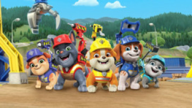 Imagen de Equipo Rubble... (T1): El equipo construye una tirolina - 5