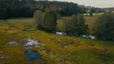 Turisme rural al món: Polonia