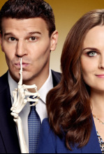 Bones (T9): Ep.19 El turno en la urna