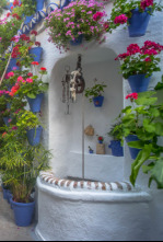 Imagen de Arquitectura andaluza - 4