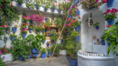 Imagen de Arquitectura andaluza - 5