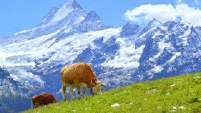 Imagen de Suiza, el corazón de los Alpes - 5