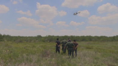 La Frontera: Animales en primera línea