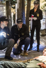 Imagen de NCIS: Nueva Orleans (T1): Ep.10 Heroísmo robado - 4