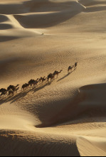 Imagen de Secretos en la arena: Ep.8 - 4