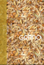 Imagen de Directo al grano - 4
