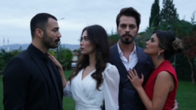 Imagen de Bahar (T1) - 5