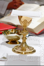 Imagen de Apertura de la Puerta Santa y Santa Misa - 4