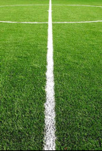 Imagen de Primera División Autonómica de Madrid - 4