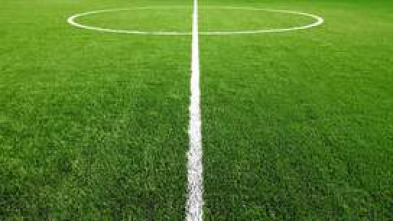 Imagen de Primera División Autonómica de Madrid - 5