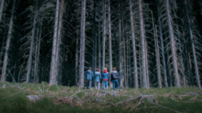 Imagen de ZombieLars (T3): Ep.3 Canvi de plans - 5