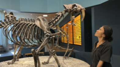 Imagen de Bestias del pasado: Mamut - 5