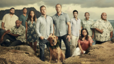 Hawai 5.0 (T9): Ep.25 Hana Mao 'ole ka ua o Waianae (La lluvia de Waianae cae sin cesar)