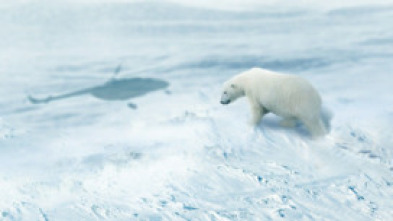Imagen de Arctic from Above  - 7