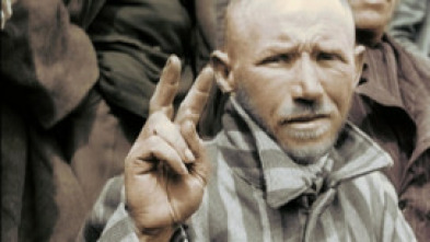 Imagen de Rendición: La última ofensiva de los nazis - 7