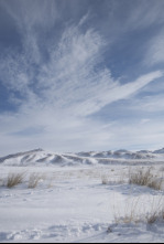 Imagen de Wild Mongolia: tierra...: Pradera extrema - 6