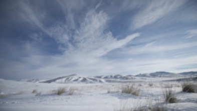 Wild Mongolia: tierra de extremos 