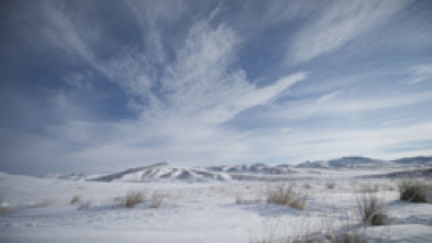 Wild Mongolia: tierra...: El reino más allá de las nubes