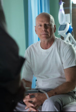 Imagen de Elefante blanco - 5