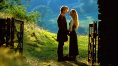 Imagen de La princesa prometida - 7